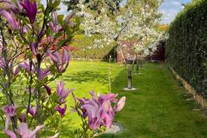 Property thumbnail 30