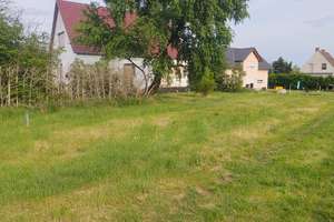 Alltagstaugliches Einfamilienhaus mit 6 Zimmern in Altenau – Dorfstraße 26, 4931 Mühlberg/Elbe – Vorschaubild 3