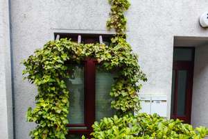 Helle 1 Zimmer Wohnung BS Innenstadt  plus TG Stellplatz – Hintern Brüdern 26, 38100 Innenstadt, Braunschweig – Vorschaubild 3