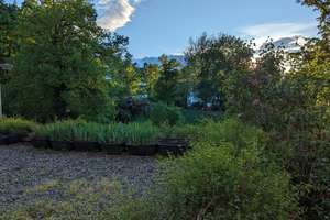 Property thumbnail 15