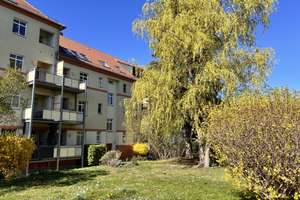 Gemütliche 2-Raumwohnung in ruhiger Lage – Lewickistraße 53, 1279 Tolkewitz/Seidnitz-Nord, Dresden – Vorschaubild 5