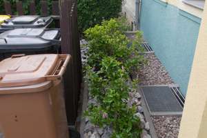 Zentrumsnahe  TOP - 2 ZKDBB - Komfort - SINGLE- Wohnung  EBK + Balkon + Garten  – Schlachthofstraße 8, 99085 Johannesvorstadt, Erfurt – Vorschaubild 3