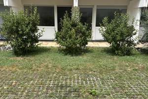 Schöne 2,5-Zimmer Wohnung mit Terrasse und Garten – Schleißheimer Straße 257, 80809 Am Riesenfeld, München – Vorschaubild 25