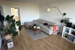 Property thumbnail 13