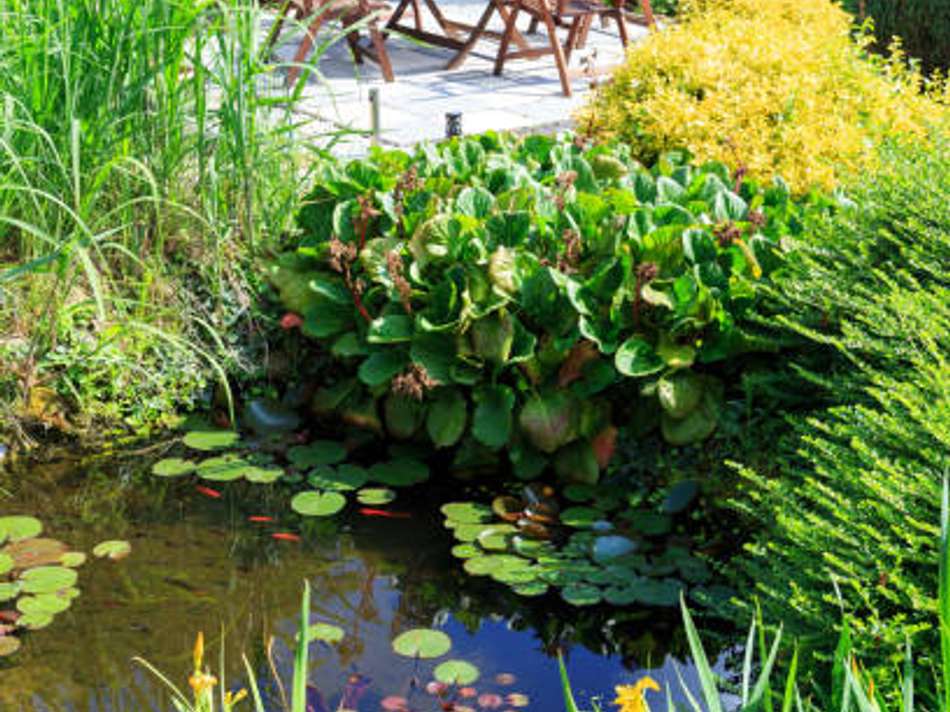 Es gibt nichts schöners 1