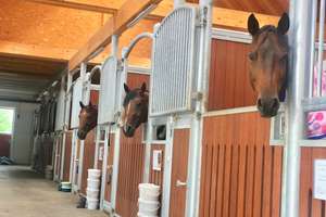 Reitanlage auf 11,5 ha zu verkaufen – Die vollständige Adresse der Immobilie erhältst du vom Anbieter., 51399 Burscheid – Vorschaubild 4
