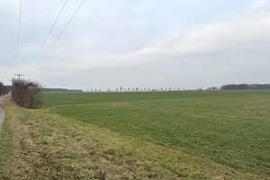 10 ha Anwesen mit großem Haus und Gewerbehalle – Nordsachsen (Kreis) – Vorschaubild 13