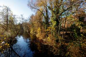 Property thumbnail 12