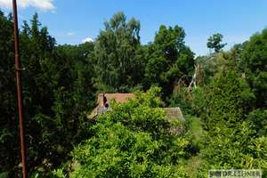 Entkerntes Gutshaus mit Wald als Flächendenkmal – Die vollständige Adresse der Immobilie erhältst du vom Anbieter., 39615 Seehausen (Altmark) – Vorschaubild 5