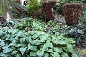 Property thumbnail 26