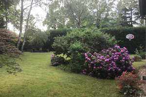 Villa in Köln-Hahnwald 178 m² / 2.000 m² Grundstück – Die vollständige Adresse der Immobilie erhältst du vom Anbieter., 50996 Hahnwald, Köln – Vorschaubild 34