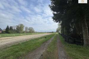 Großes EFH Steinau-Höring in ruhiger Lage direkt am Kanal mit eigenen Bootsanleger (Pacht) – Die vollständige Adresse der Immobilie erhältst du vom Anbieter., 21775 Steinau – Vorschaubild 26