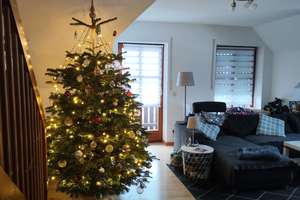 Property thumbnail 13