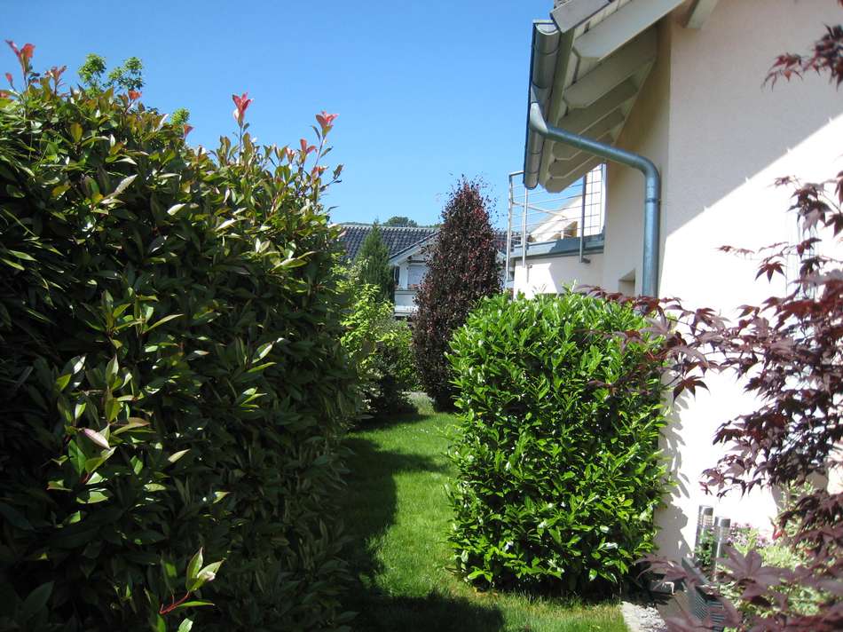 seitlicher Gartenbereich