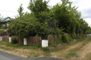 Einfamilienhaus , Garten , Garage in Rhein-Sieg-Kreis – Rhein-Sieg-Kreis – Vorschaubild 15