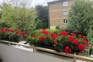 Gepflegte 3,5-Zimmer-Wohnung mit Balkon in Bochum Wattenscheid Westenfeld – Bochum – Vorschaubild 4