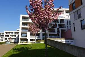 Hochwertige 2 Zimmer Neubau Wohnung mit EBK im Erdgeschoss – Die vollständige Adresse der Immobilie erhältst du vom Anbieter., 41061 Gladbach, Mönchengladbach – Vorschaubild 15