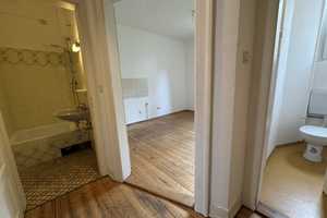 Charmante Altbauwohnung in der Neckarstadt-Ost – Stilvolle 1-Zimmer-Erdgeschosswohnung mit 3,20 m De – Mannheim – Vorschaubild 3
