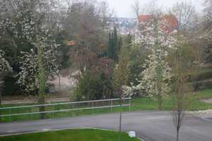 ***besonders schöne 1 Zi.-Whg mit Flair*** S-West – Geisseichstr. 29, 70197 Stuttgart – Vorschaubild 8