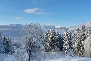 Sonniges Mehrfamilienhaus mit gewerb. Nutzung, großem Grundstück, Terrasse, Balkon & Doppelgarage – Berchtesgadener Land (Kreis) – Vorschaubild 6