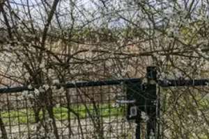 Wohnen direkt am Mittellandkanal – Frankensteiner Weg 2, 31319 Sehnde – Vorschaubild 7