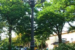 Property thumbnail 12