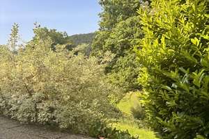 Erstbezug: Modernes Einfamilienhaus in idyllischer Lage – Die vollständige Adresse der Immobilie erhältst du vom Anbieter., 64760 Rothenberg – Vorschaubild 21