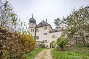 Herrschaftliches Schlossanwesen mit Parklandschaft – Die vollständige Adresse der Immobilie erhältst du vom Anbieter., 93107 Thalmassing – Vorschaubild 3