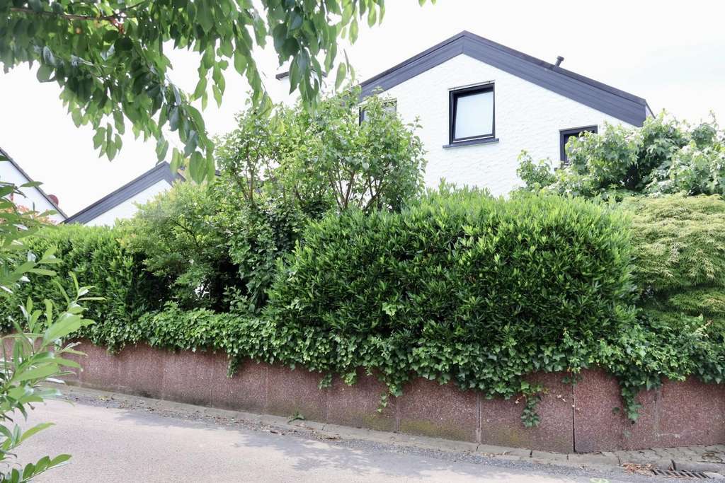 Immobilie in Hasselroth - Das besondere Architektenhaus -Provisionsfrei kaufen- - Bild 3