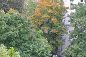 Elegante helle 3,5-zimmer-Altbauwohnung mit Balkon in toller Lage! – Valleystraße 19, 81371 München – Vorschaubild 16