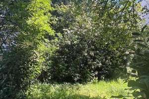 Doppelhaushälfte in ruhiger Wohnlage  – Die vollständige Adresse der Immobilie erhältst du vom Anbieter., 53819 Neunkirchen-Seelscheid – Vorschaubild 3