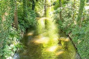 Property thumbnail 8