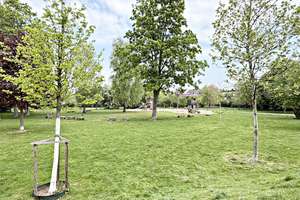 Attraktive Wohnkombination: Familienwohnung mit modernisiertem Studio & Garage – Die vollständige Adresse der Immobilie erhältst du vom Anbieter., 40547 Niederkassel, Düsseldorf – Vorschaubild 14