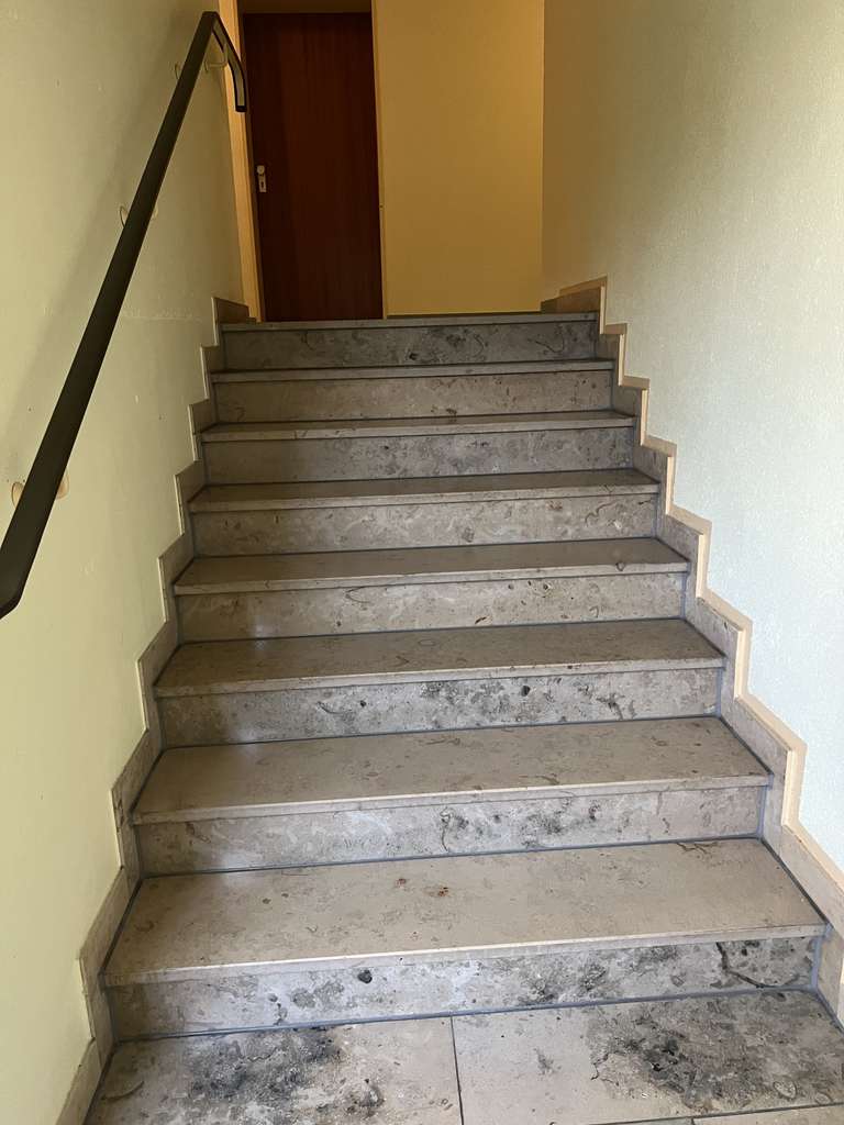 Immobilie in Bayreuth - Helles gut geschnittenes Apartment  in der Rosestraße zu vermieten - Bild 3