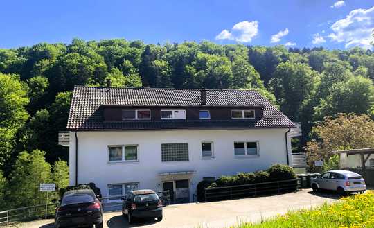 Bad Herrenalb / Gaistal - renovierungsbedürftige 2 Zi. Dachgeschosswohnung - sofort frei