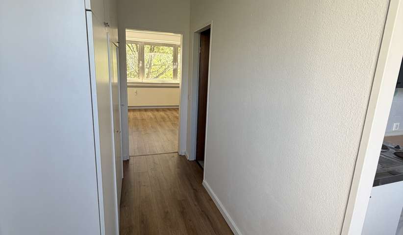 1-Zimmer-Wohnung in zentraler Lage - Photo 3