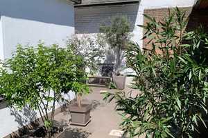 Lage, Lage, einmalige Rheinauenlage! Exklusives (Zweifamilien-)Haus in Duisburg-Mündelheim – Kegelstraße 90, 47259 Duisburg – Vorschaubild 28