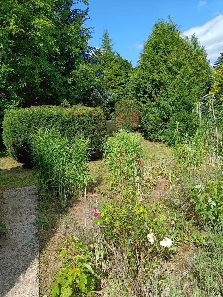 Immobilie in Gerbstedt - Stilvolles Wochenendhaus auf 1.206 qm Eigentumsland - Bild 1