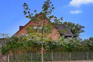 1-2 Familien Haus mit Garten und Garage in Allersberg – Roth (Kreis) – Vorschaubild 3