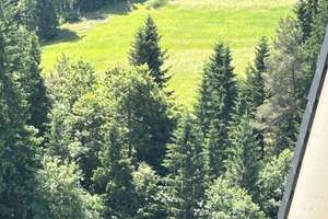 Autark Wohnen mit Selbstversorgergarten - wenn Ihnen Unabhängigkeit wichtig ist. – Die vollständige Adresse der Immobilie erhältst du vom Anbieter., 78182 Schramberg – Vorschaubild 6