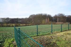 Landwirtschaftliches Anwesen in herrlicher Lage in Spenge - Bardüttingdorf – Die vollständige Adresse der Immobilie erhältst du vom Anbieter., 32139 Spenge – Vorschaubild 14