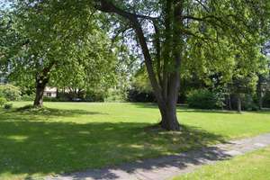 44139,ab 60 Jahre, 2 Zi. Seniorenwohnung, WBS erforderlich, barrierefrei – Wittekindstr.  100 B, 44139 Westfalenhalle, Dortmund – Vorschaubild 2