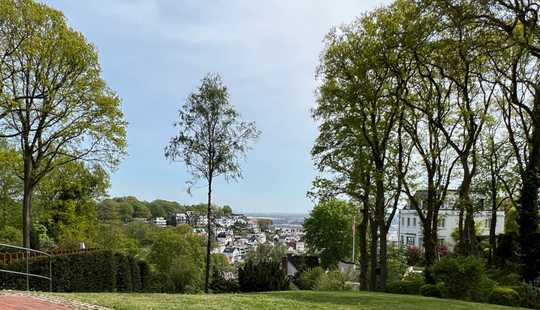 Bild von Stilvolle Villa mit traumhaften Blick zur Elbe in begehrter Lage