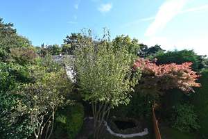 Property thumbnail 17