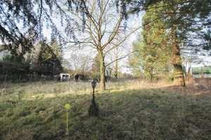 Vielseitig nutzbar: 2 EFHs, parkähnlichem Garten und Baugrundstück – Neuwied (Kreis) – Vorschaubild 18
