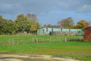 Preisänderung Neues Dach ! Bauernhof mit großen gepflegten Stallungen auf 1,1ha Land. – Haselund, Nordfriesland (Kreis), 25855 Nordfriesland (Kreis) – Vorschaubild 3