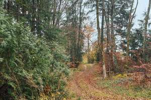 Romantisch gelegenes Wochenendhaus auf der schwäbischen Alb – Eselhöfe 14, 73349 Mühlhausen im Täle – Vorschaubild 40