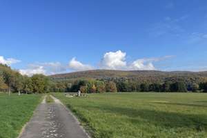 Property thumbnail 20