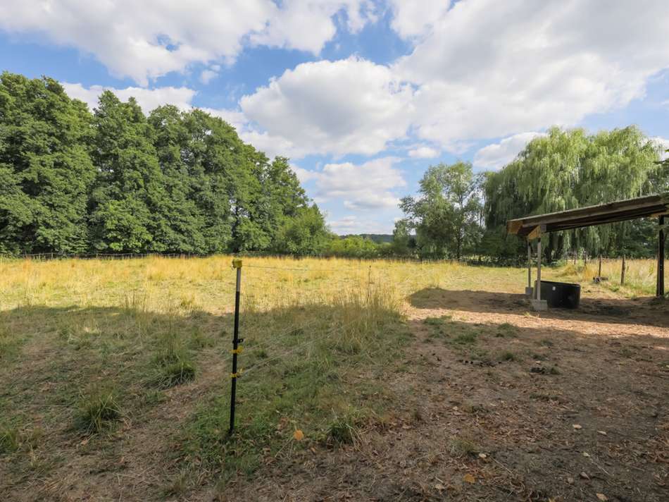 Hausstall Weide