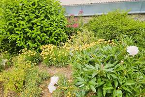 Einfamilienhaus mit Garage und Stellplatz in Rottenbauer zu verkaufen – Die vollständige Adresse der Immobilie erhältst du vom Anbieter., 97084 Rottenbauer, Würzburg – Vorschaubild 15